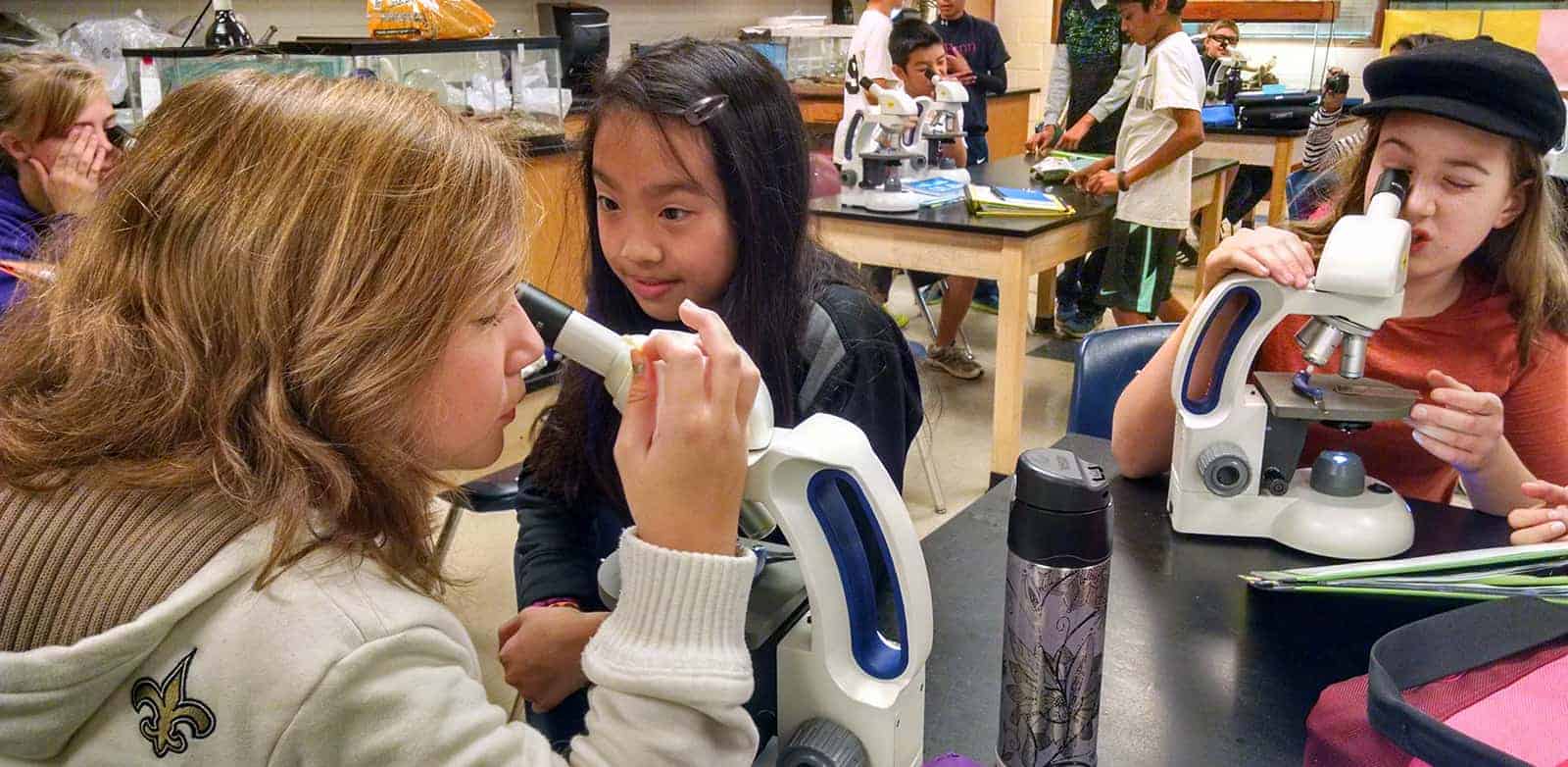 A Y5-8 school of higher learning.