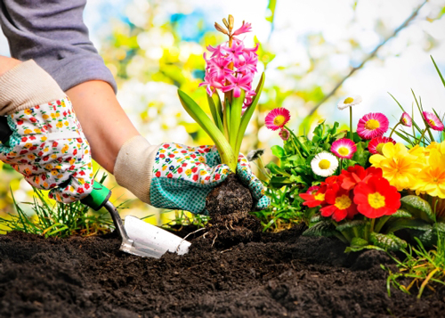 gardening